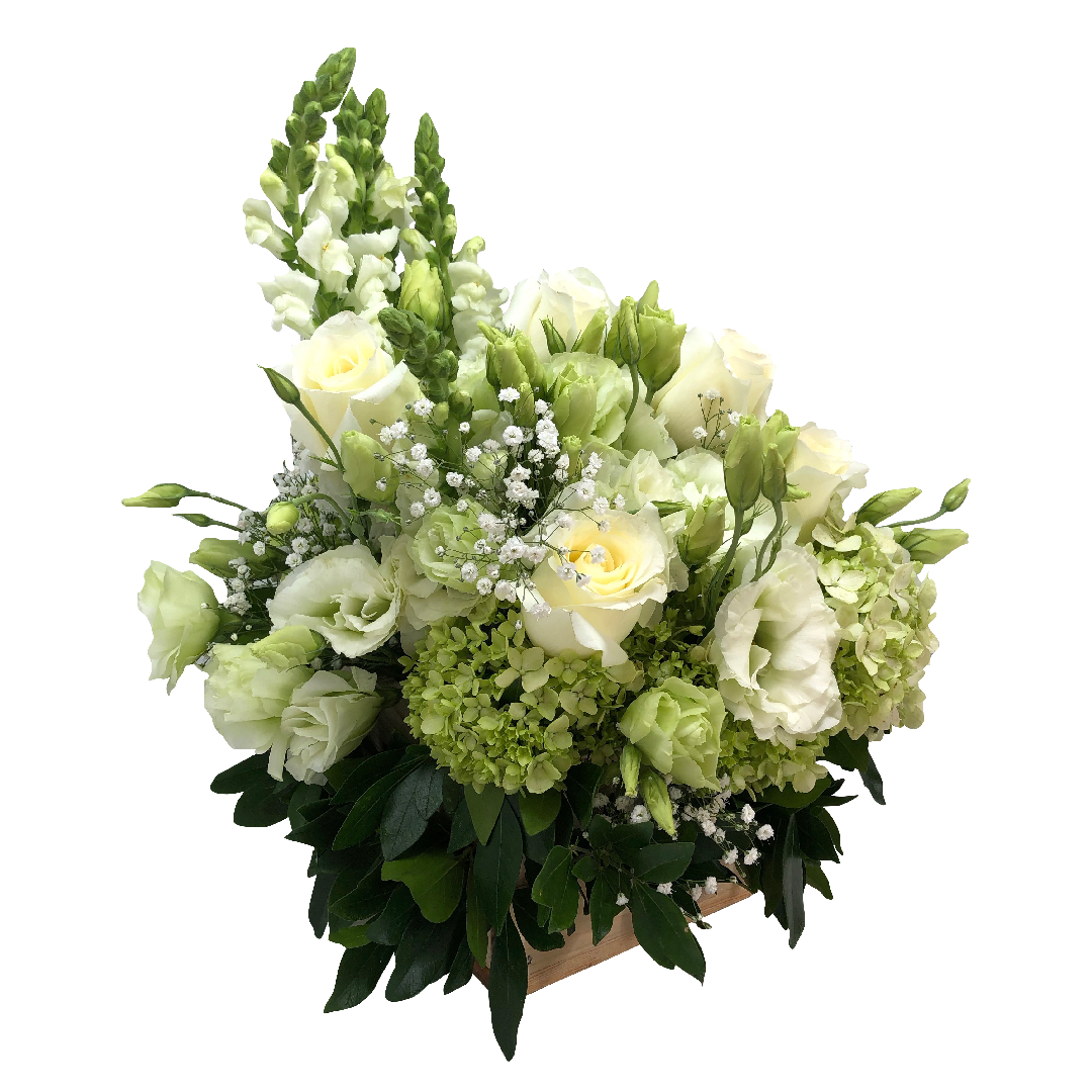 Delicia Visual - Imagen 2