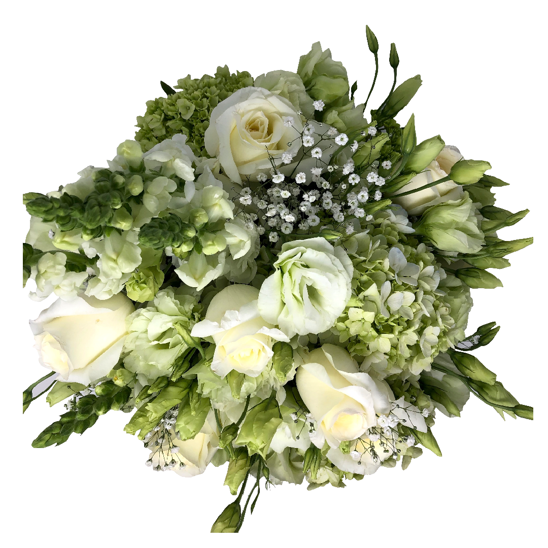 Delicia Visual - Imagen 4