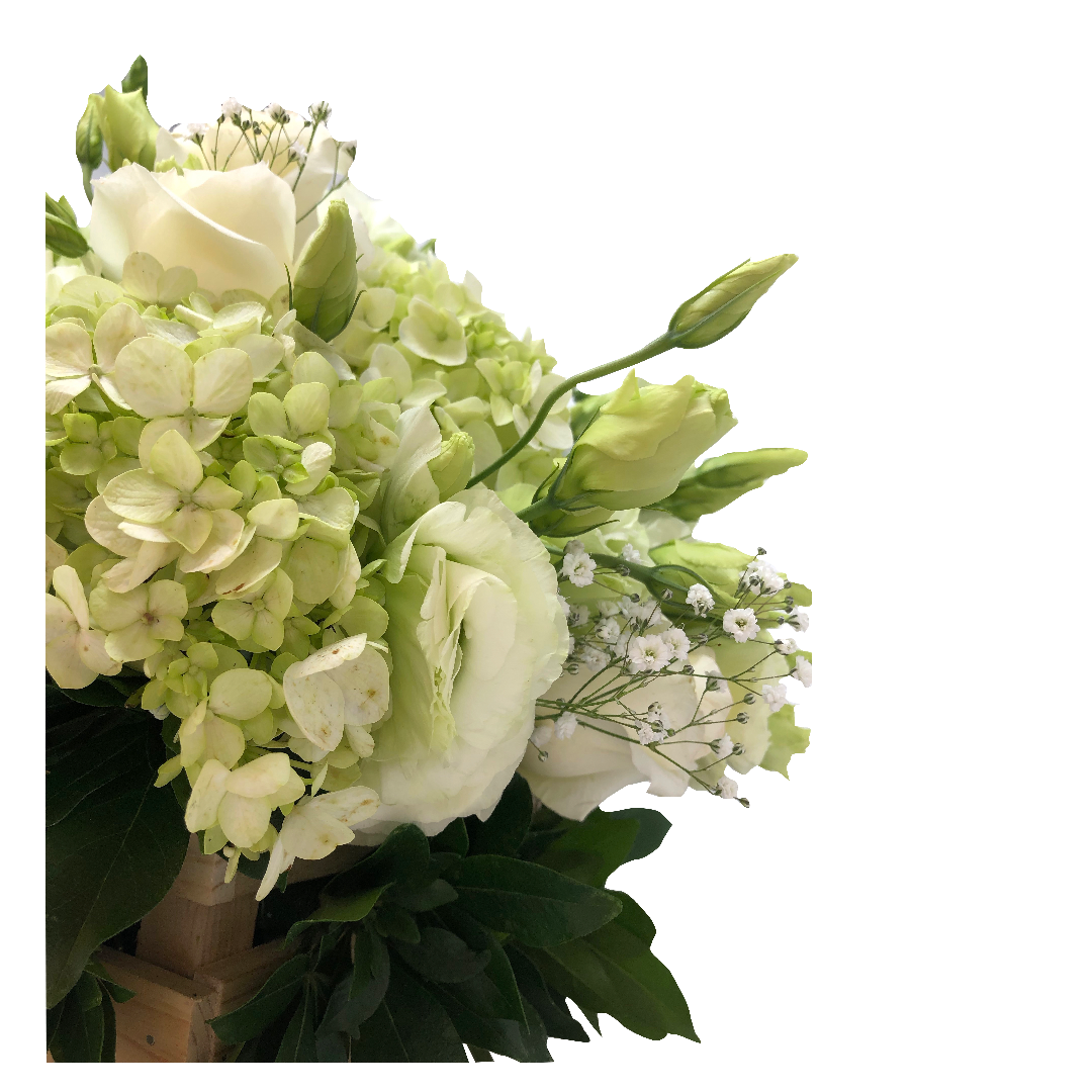 Delicia Visual - Imagen 3