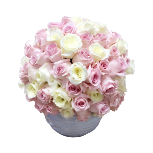 Classic Roses - Candy