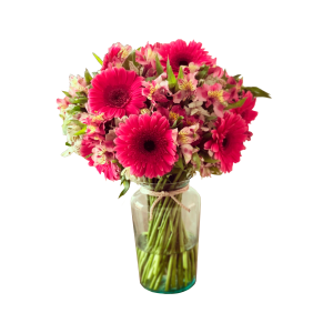 Gerberas y astromelia